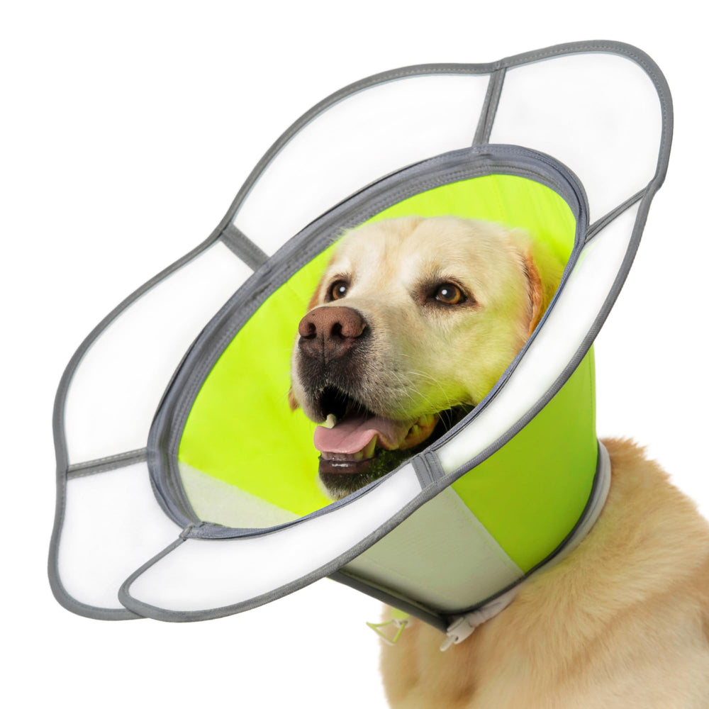 Collar Isabelino suave Mariyago para perros, confort durante la recuperación