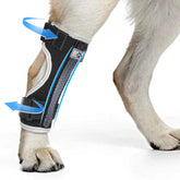 Marnonsis ortesis para pata trasera del perro, soporte de movilidad