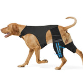 Rodillera Marnonsis para perro con cuatro estabilizadores metálicos y mayor soporte.