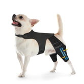 Marnonsis rodillera trasera para perro, ofrece soporte estable para la recuperación.