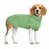 Marnonsis suéter para perro, frente, ideal para paseos fríos.