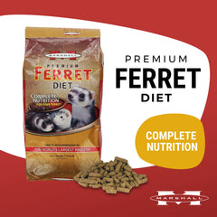 Marshall Pet Ferret Premium Diet 6lb, croquetas visibles, alimento nutritivo para hurones activos.