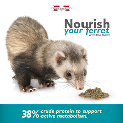 Marshall Pet Products Select Chicken Ferret Diet ingredientes-clave, balance nutricional para hurones activos.
