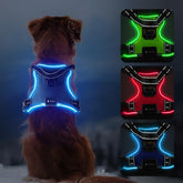 Arnés LED MASBRILL para perro con visibilidad nocturna para paseos seguros.