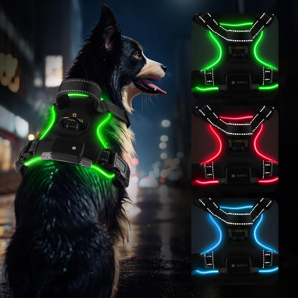 MASBRILL arnés luz para perro en la noche mejora la visibilidad