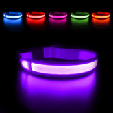 Collar MASBRILL iluminado para perro morado, visibilidad nocturna para paseos seguros