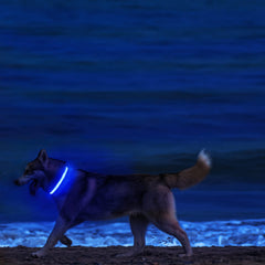 MASBRILL Collar LED con ajuste rápido para adaptar a cualquier cuello.