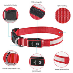 Collar MASBRILL LED resistente al agua para cualquier clima.