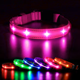 MASBRILL collar LED para perro con carga USB y visibilidad 360 grados.