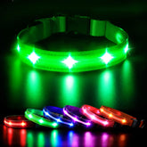 MASBRILL collar LED para perro iluminado durante paseos nocturnos.