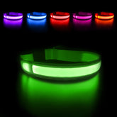 Collar LED MASBRILL para perros iluminado, alta visibilidad nocturna