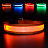 MASBRILL collar LED para perros, visibilidad nocturna para paseos seguros.