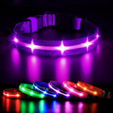 MASBRILL collar LED, visión nocturna para paseos más seguros.