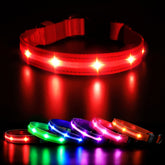 MASBRILL collar luminoso para perros, visibilidad nocturna de 360 grados para paseos seguros.