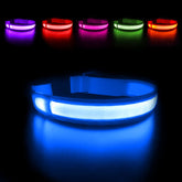 Collar MASBRILL LED con luz frontal para mayor visibilidad nocturna.