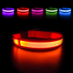 MASBRILL collar LED para perros con visibilidad nocturna mejorada.