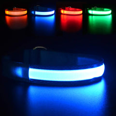 MASBRILL collar con luz azul mejora la visibilidad nocturna para perros