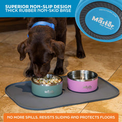 Master Pet Supply cuenco con doble pared aislante mantiene el agua más fría
