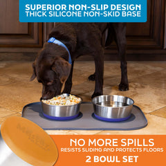 Cuencos aptos para lavavajillas de Master Pet Supply en acero inoxidable