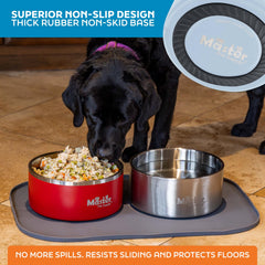 Master Pet Supply tazones-antioxido-acero-inoxidable resisten desgaste diario.