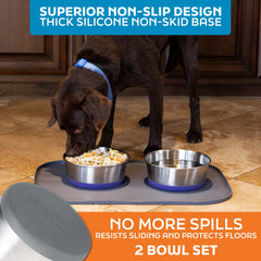 Master Pet Supply cuencos aptos para interiores y exteriores