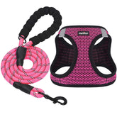 Arnés Step-in Matilor para perros, fácil colocación y paseo cómodo.