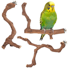 Matutinus percha con ramas de vid naturales para aves, opción segura y natural