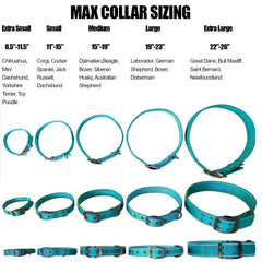 Costuras reflectantes alrededor del collar Max y Neo para mayor visibilidad nocturna.