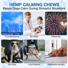 MaxHemp mezcla de ingredientes naturales para el bienestar diario de tu perro.