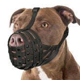 Mayerzon bozal para perro grande, vista frontal, ofrece ajuste cómodo y seguro.