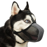 Bozal Mayerzon de malla transpirable para perros, permite respirar y moverse con comodidad.