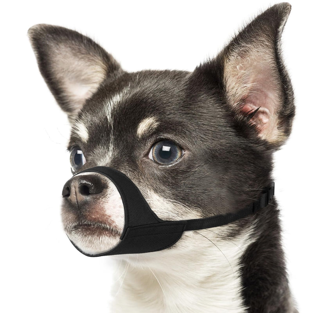 Mayerzon bozal para perro, vista frontal, ajuste cómodo para hocicos cortos.