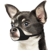 Mayerzon bozal para perro, vista frontal, ajuste cómodo para hocicos cortos.