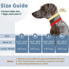 Mayerzon collar con anilla en D para seguridad y sujeción robusta.