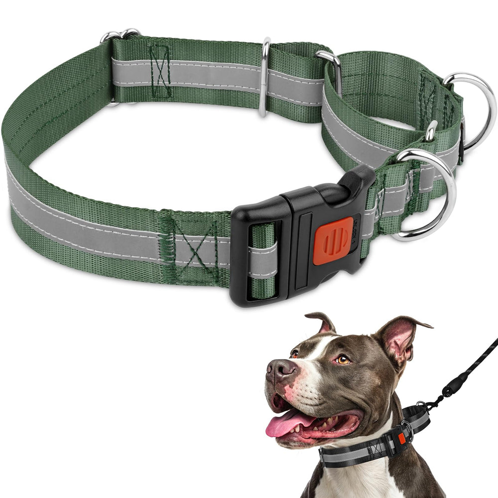 Mayerzon collar martingale para perros grandes, ajuste seguro y cómodo.