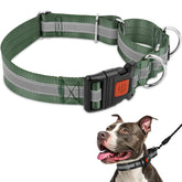 Mayerzon collar martingale para perros grandes, ajuste seguro y cómodo.
