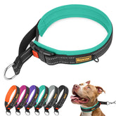 Collar martingale Mayerzon 1,5 pulgadas turquesa frente para control suave