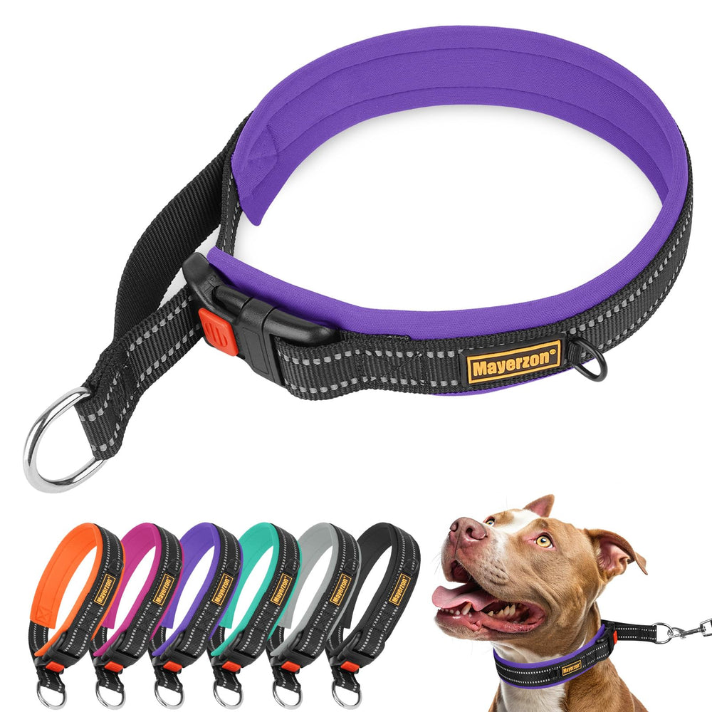 Collar martingale Mayerzon 1,5 pulgadas XXL para paseos seguros