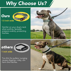 Collar Mayerzon reflectante para visibilidad nocturna segura.