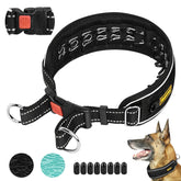 Mayerzon collar martingale sin tirón para paseos controlados.