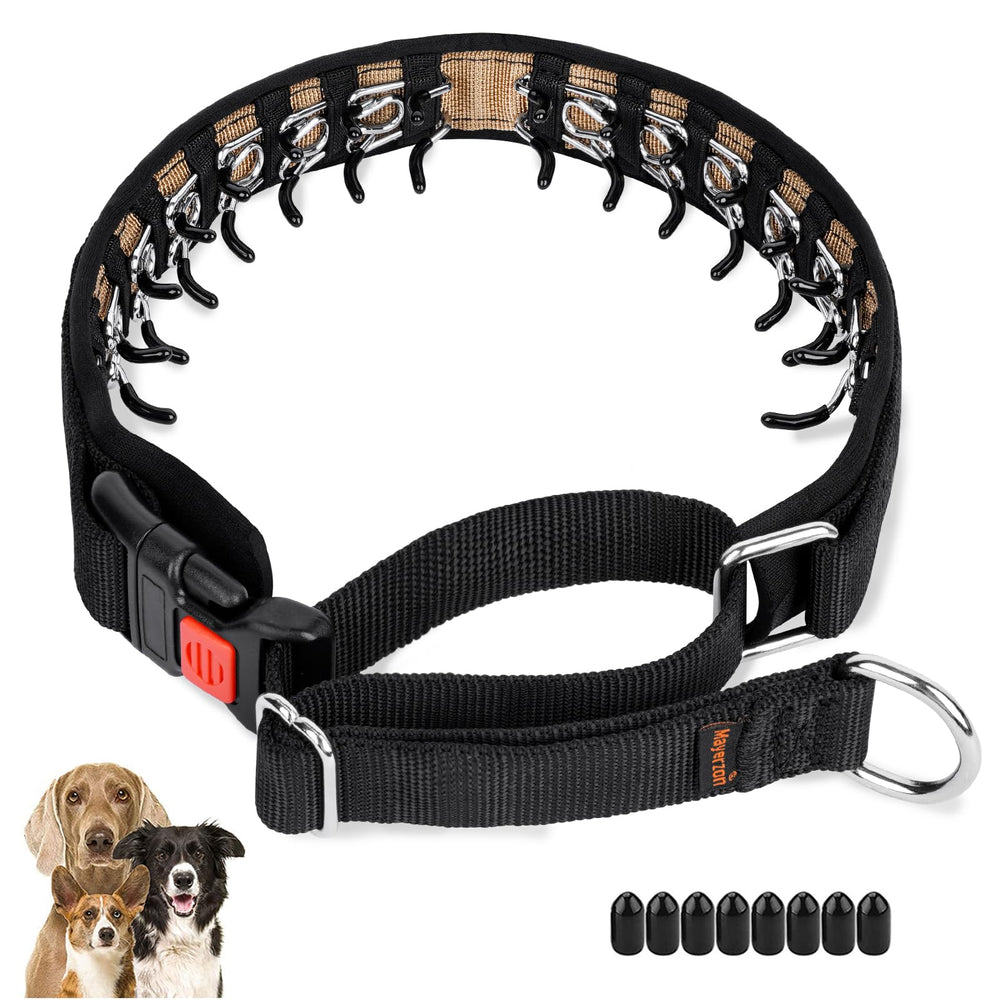 Collar Mayerzon martingale oculto para perro con control discreto en paseos