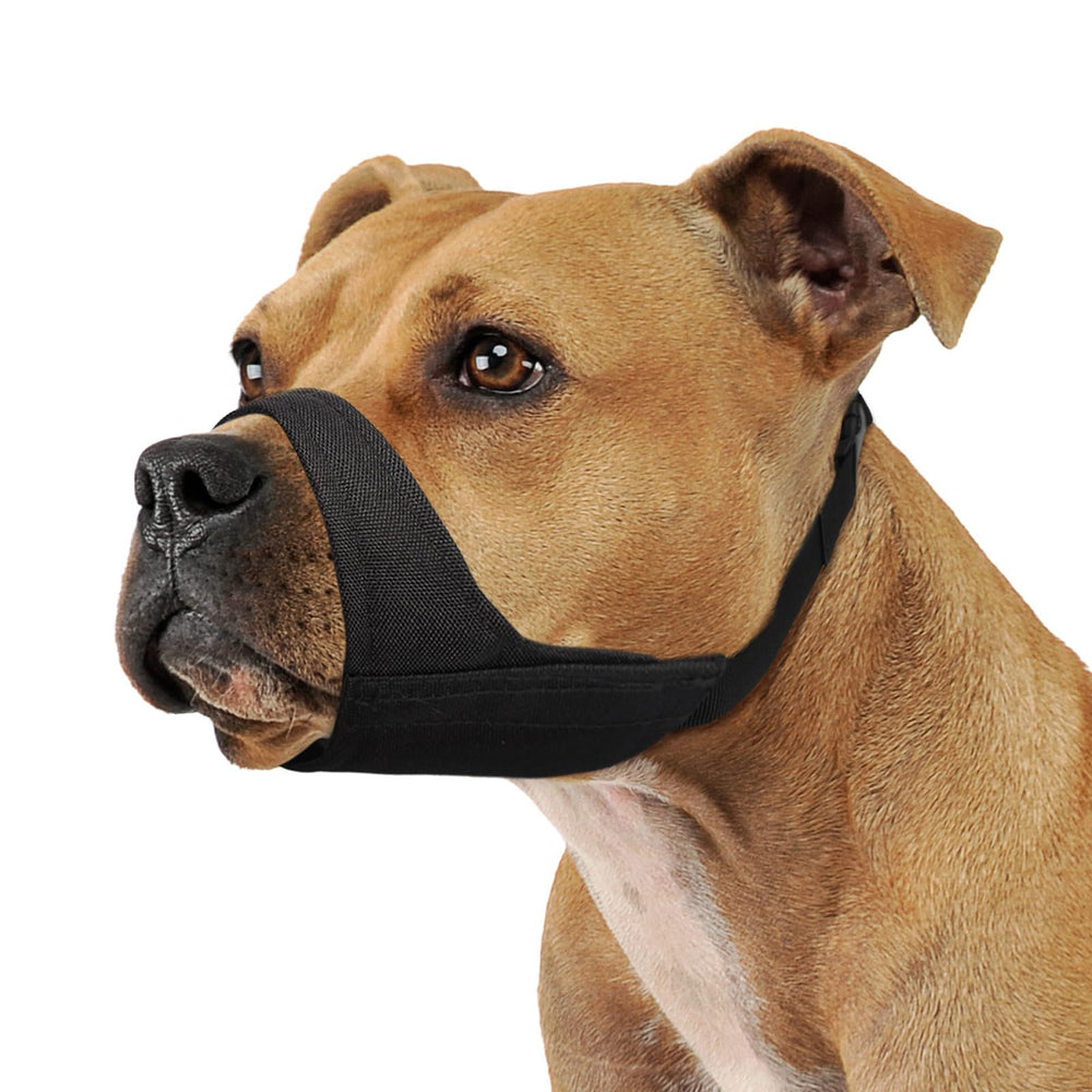 Mayerzon Mordaza para perros grandes ofrece ajuste ideal para visitas al veterinario.