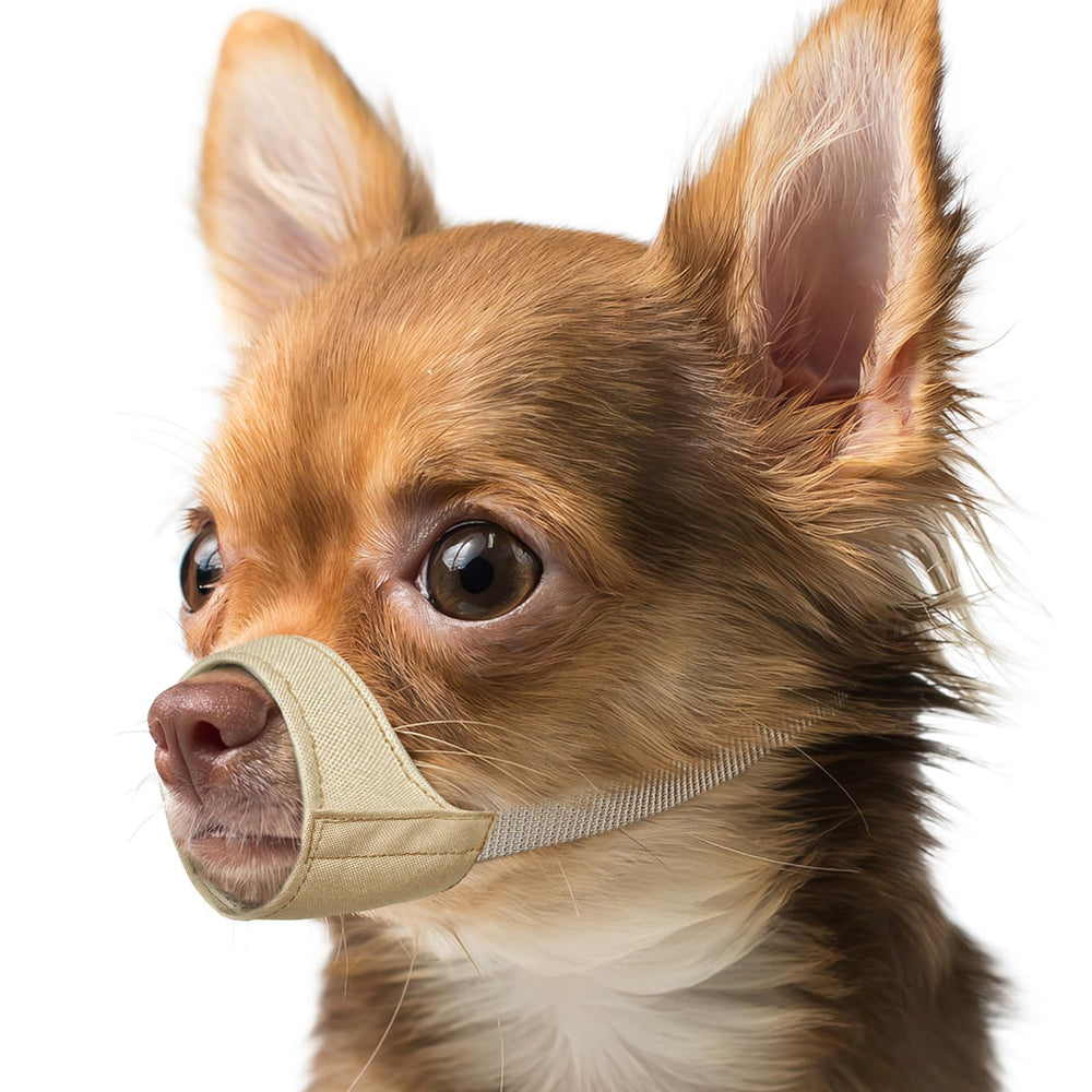 Bozal Mayerzon para hocico corto en perros pequeños, ideal para paseos.
