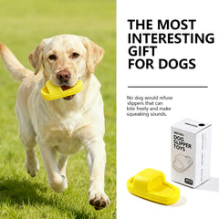 MECOOL Juguete para perro con chirri, promueve juego interactivo.