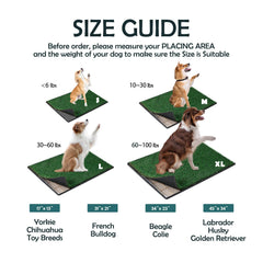 MEEXPAWS dos esteras de pasto artificial, listas para reemplazo y limpieza.