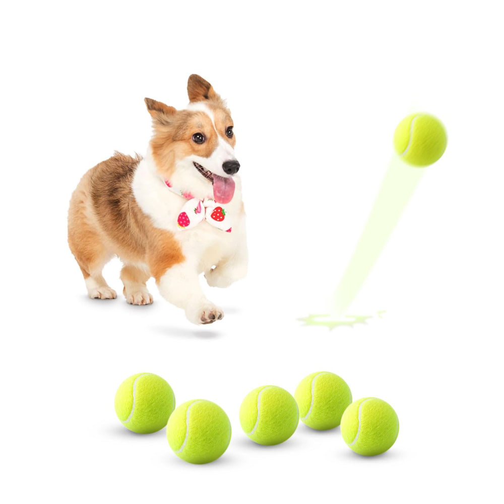 MEKAPLE pelotas de tenis mini con color brillante para juego seguro en interiores.