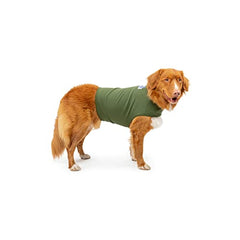 Mellow Shirt detalle-tejido-ligero: tela transpirable para comodidad diaria del perro.