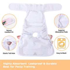 Pañales Mengelina absorbentes para perra, protección duradera durante salidas.