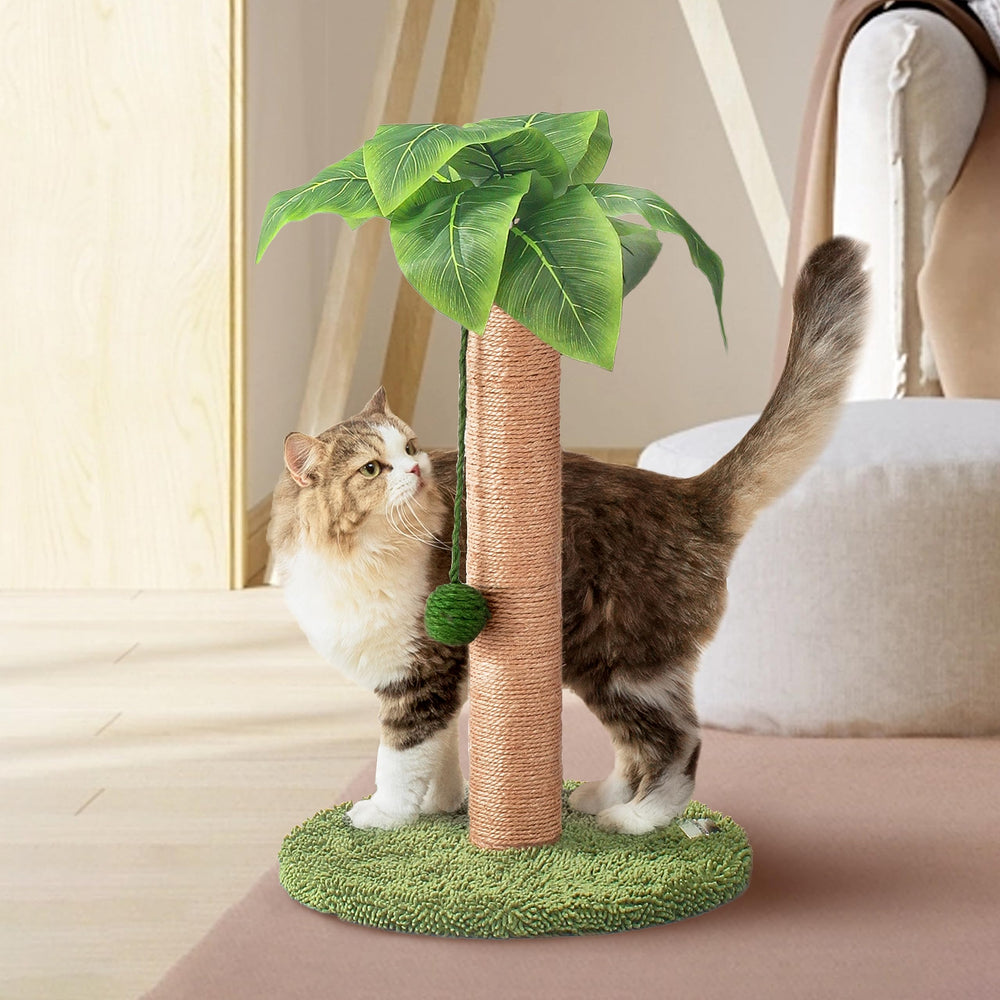 Meowoou poste rascador para gatos de 60 cm con sisal que afila uñas