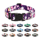 Mercano collar para perro ajustable con diseño floral pastel para paseos con estilo.